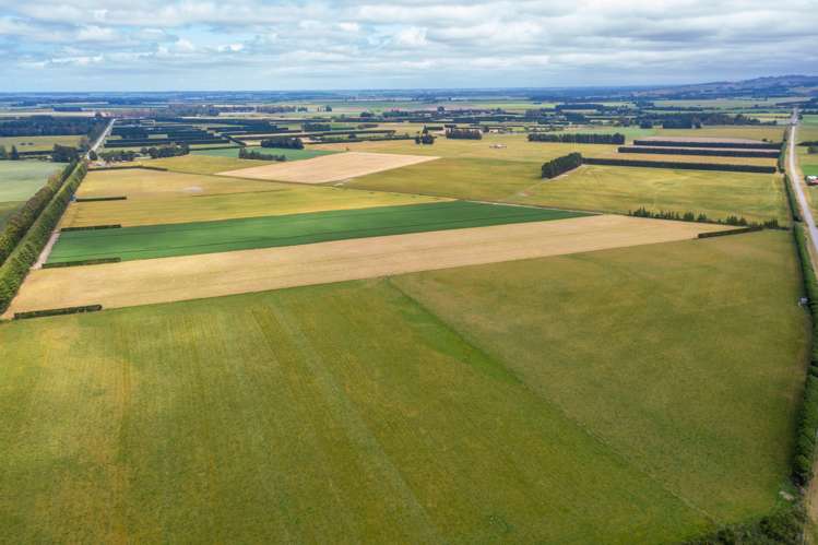 Waireka Road Darfield_12