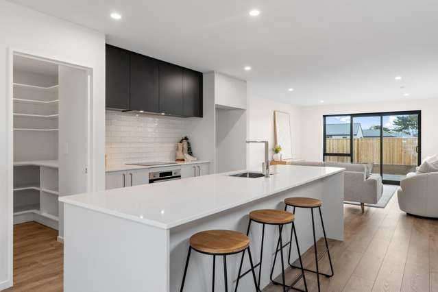 17 Kakatai Place North New Brighton_1