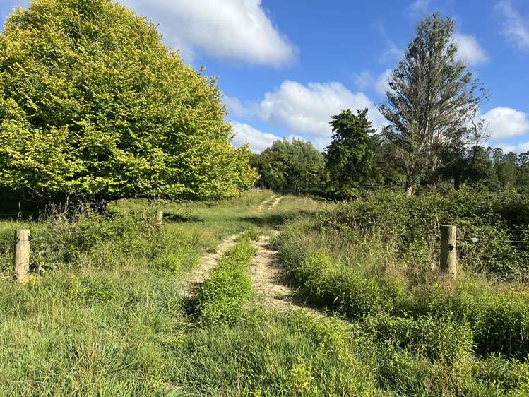 Waitomo Valley Road Waitomo_6
