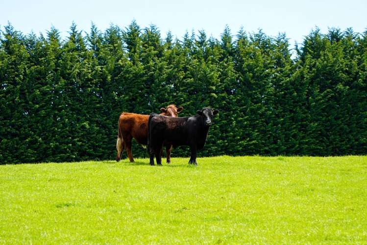 159 Ardlussa Road Longridge North_7