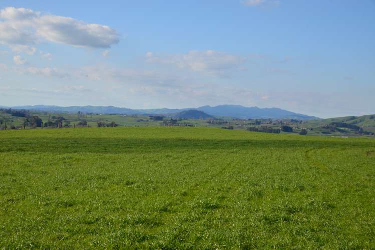 1092 Rangiatea Road Otorohanga_24