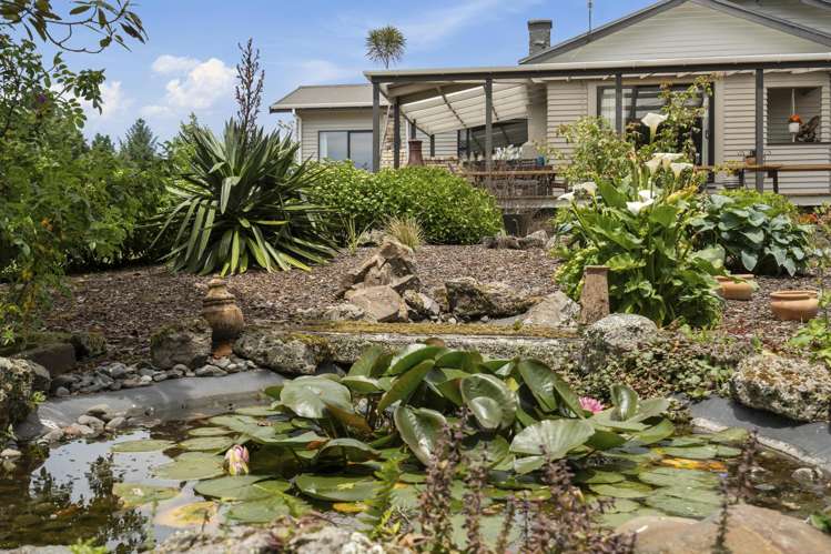 48 Tarena Street Mamaku_15