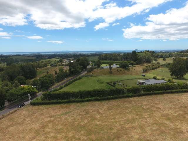 20 Laurel Drive Whakamarama_1