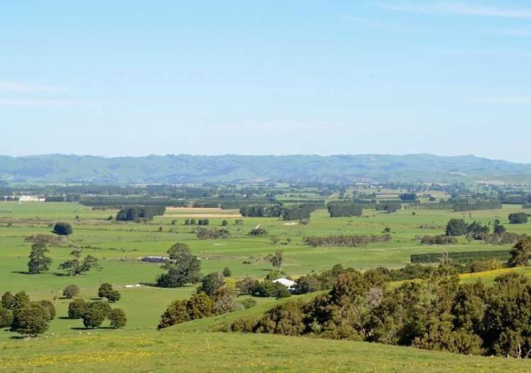 106 Chester Park Road Carterton_5