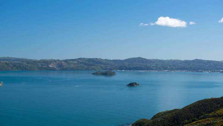 525 Muritai Road Pencarrow Head_27