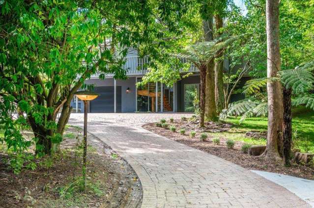 7 Mudgeways Road Massey_2