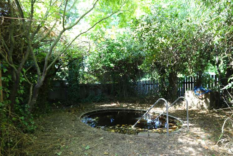 40 Alma Street Renwick_20