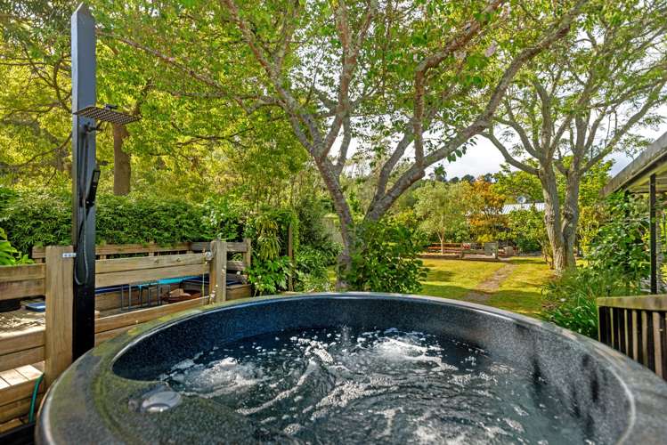 177 Fox Street Whataupoko_21