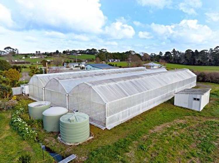 16 Irish Road Mangatawhiri_4