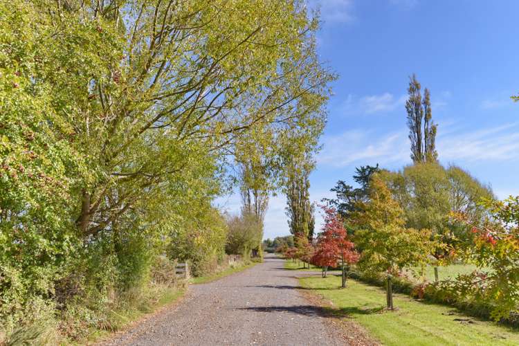 184 Jacksons Road Ohoka_0