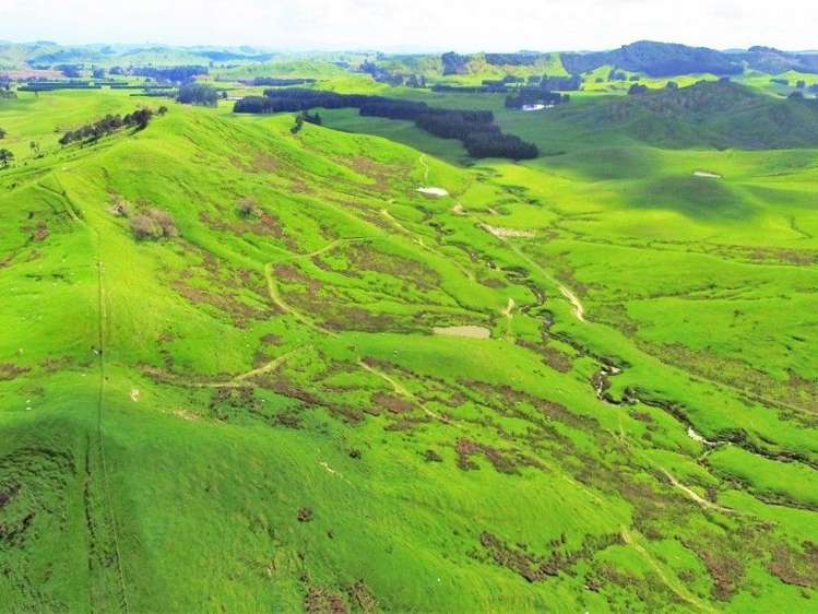 743 Ngaumu Road Wainuioru_10