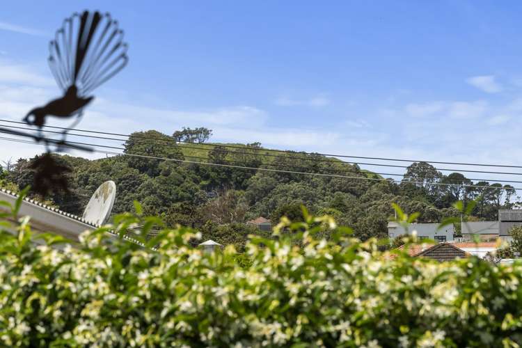 98 Valley Road Mount Eden_12