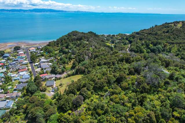 33 Trotter Avenue Waiomu_4