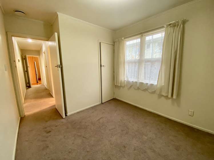 104 Webster Avenue Mount Roskill_12