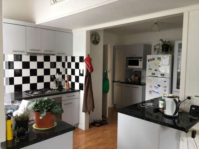 15 Hinau Street New Lynn_3