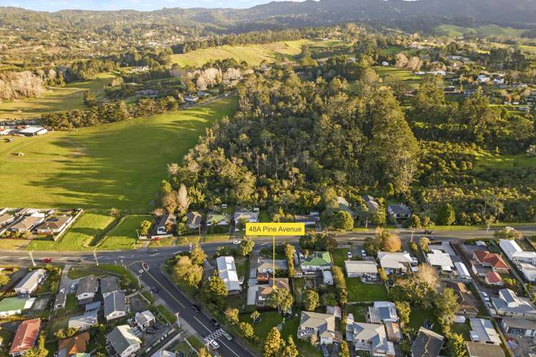 48a Pine Avenue Henderson_15