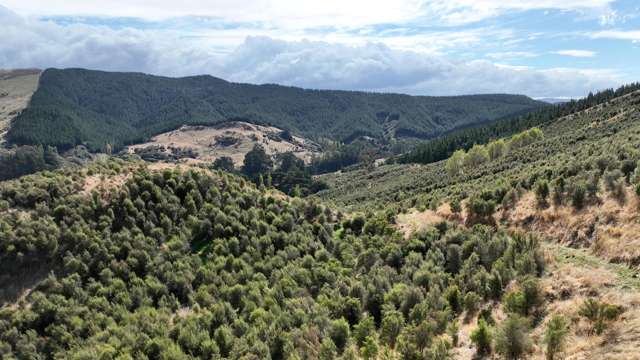 Hill country with carbon & honey income