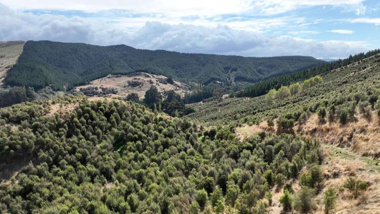 Waihoki Valley Road_0