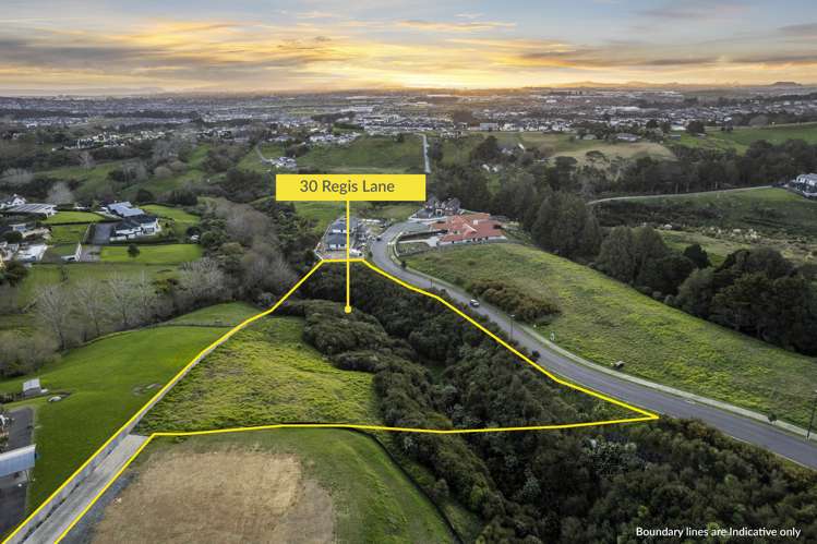 30 Regis Lane Flat Bush_3
