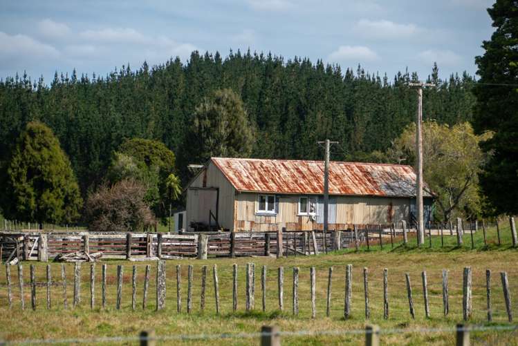 92 Lagoon Road Hamurana_5