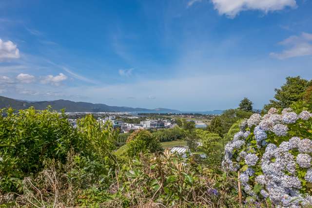 17 Harbour View Road Harbour View_3