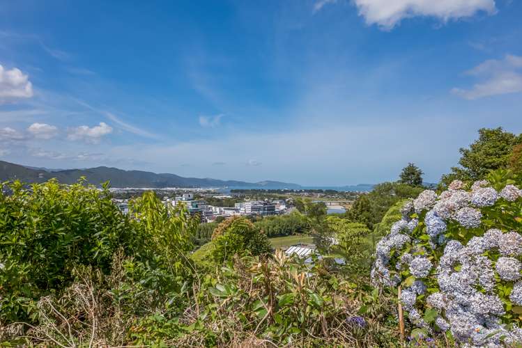 17 Harbour View Road Harbour View_3