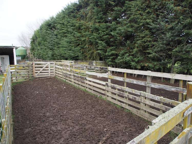 Lot 1/332 Station Road Takapau_13