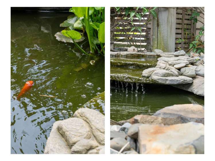 1 Monticello Key Papamoa_13