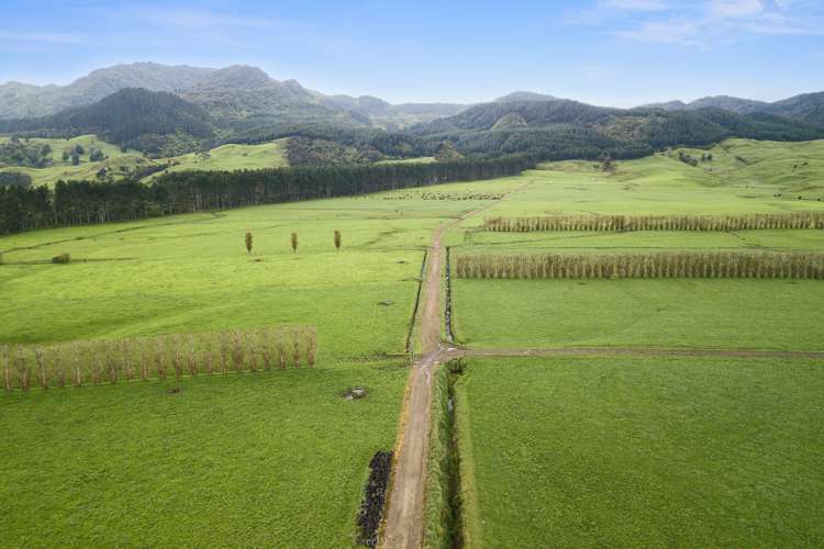 1369 Te Aroha-Gordon Road Manawaru_12