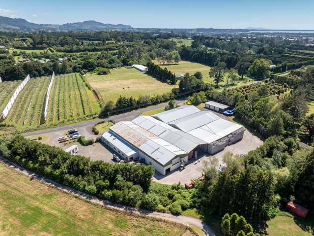 153 Rea Road Katikati_3