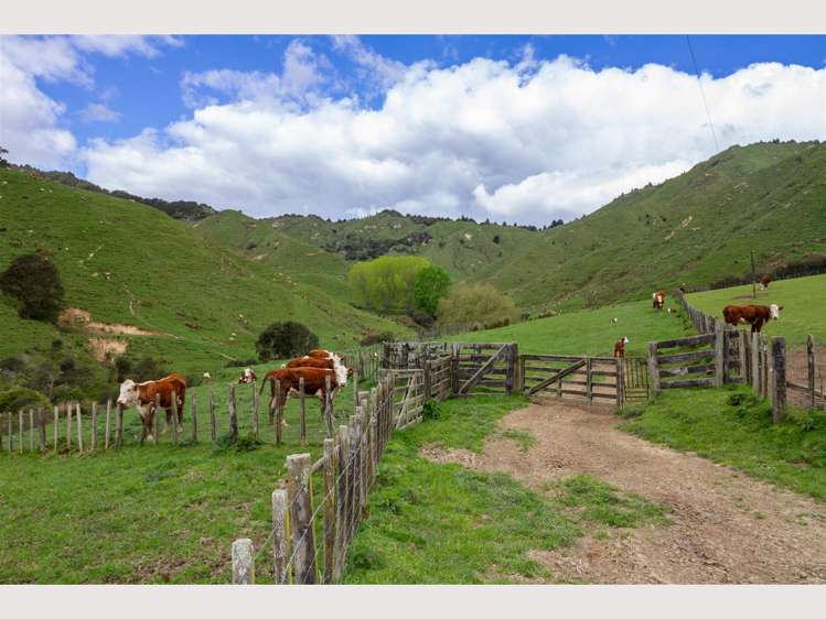 368 Kirikau Valley Road Ruapehu_11