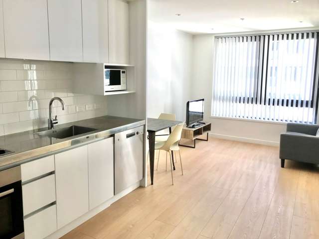 315/145 Nelson Street Auckland Central_3