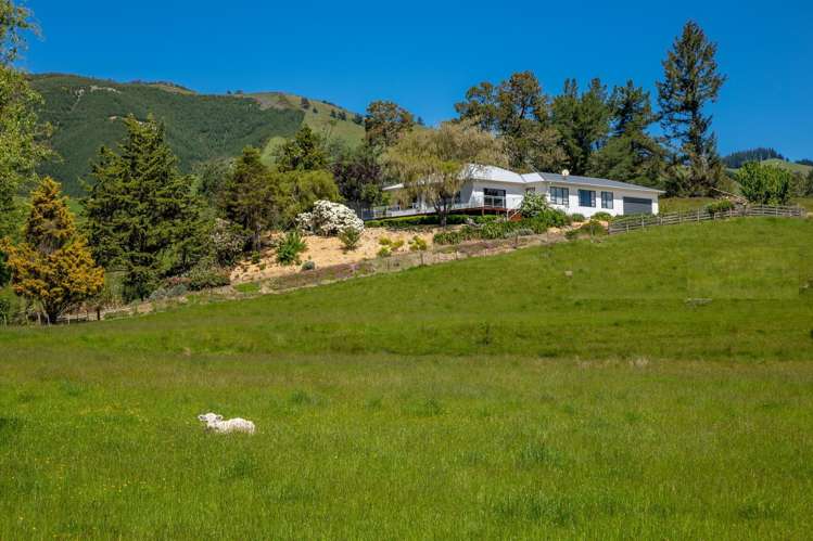 637 Tadmor Valley Road Tapawera_6