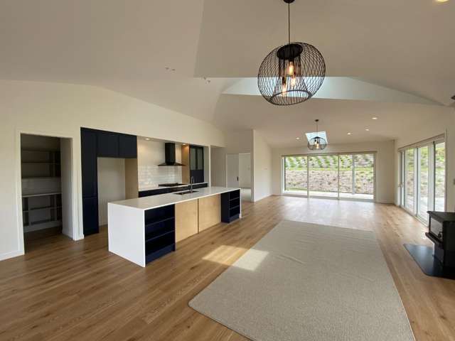241 Austin Road Dairy Flat_3
