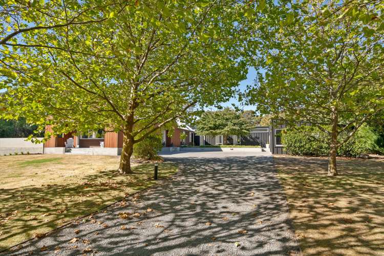 97 Oxford Street Martinborough_16
