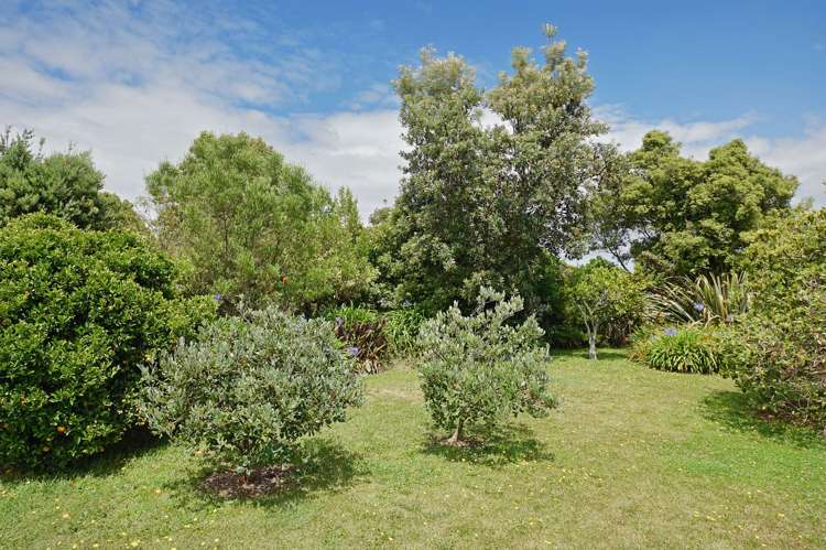 6 Cliff Road Tasman_14