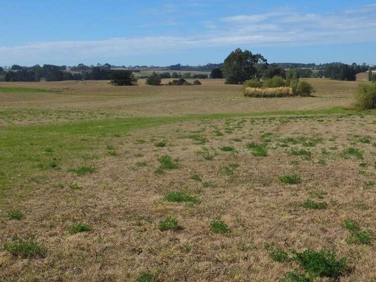 294 Parsons Road Weston_8