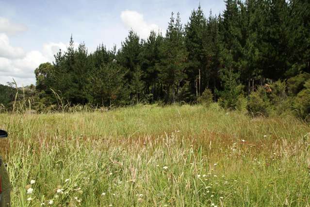 Puhata Road Herekino_3