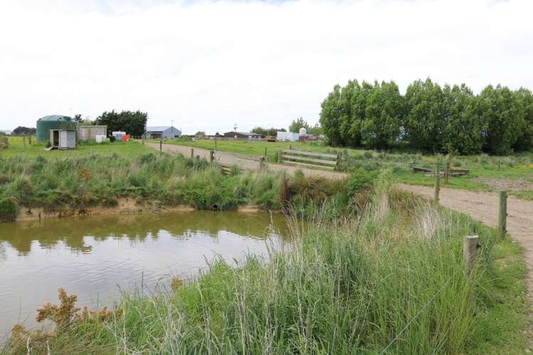 261 Middle Road Tapanui_18