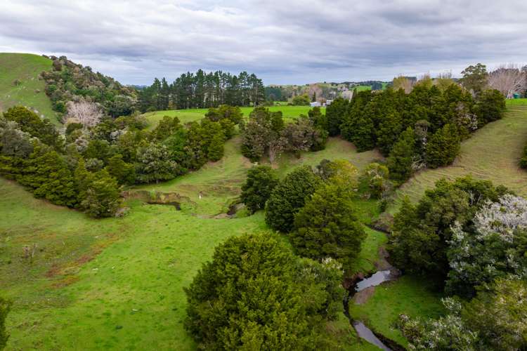 Omana Road Tangiteroria_14