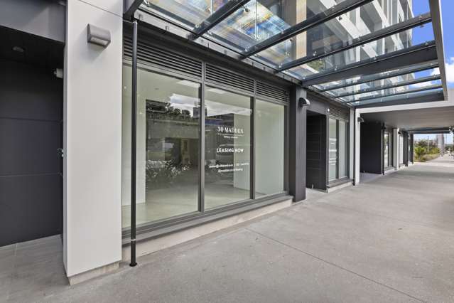 155 Daldy Street Auckland Central_1