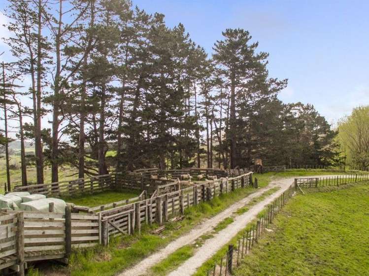 171 Girls High School Road Tangiteroria_15