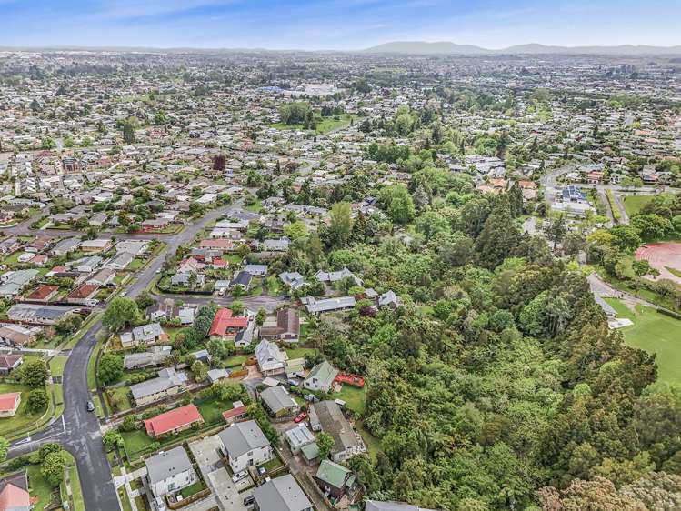 43 Winstone Avenue Chartwell_21