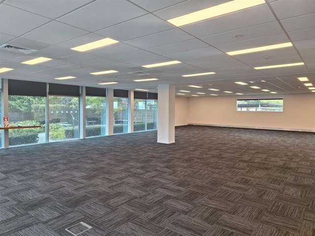 7 Show Place Addington_1