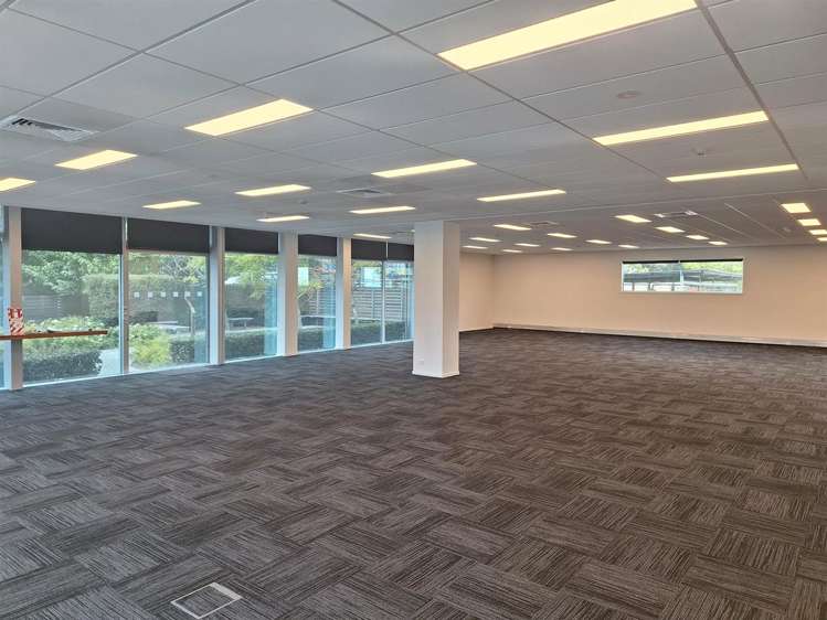 7 Show Place Addington_1