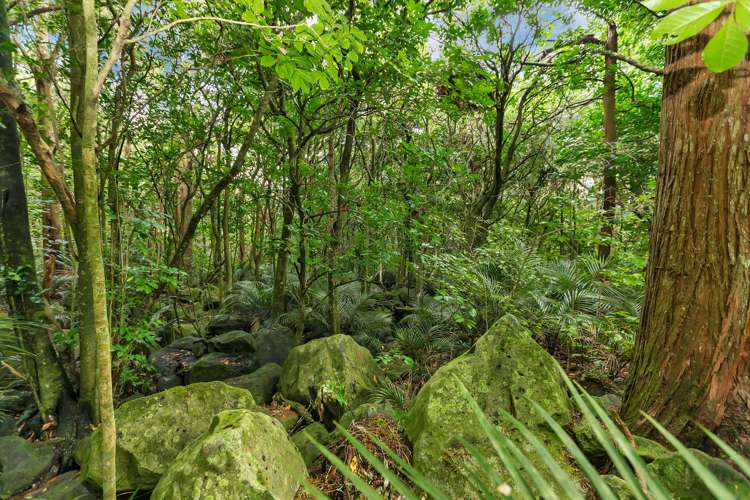 115 Woodward Road Maungatapere_31