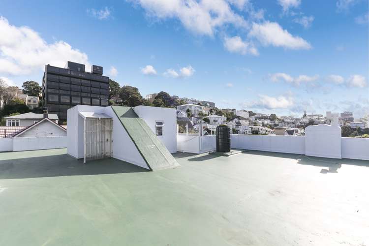 8/4 Oak Park Avenue Te Aro_12