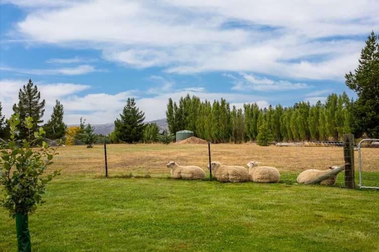 249 Letts Gully Road Alexandra_28