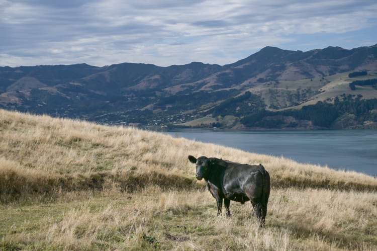 100 Jubilee Road Wainui_14