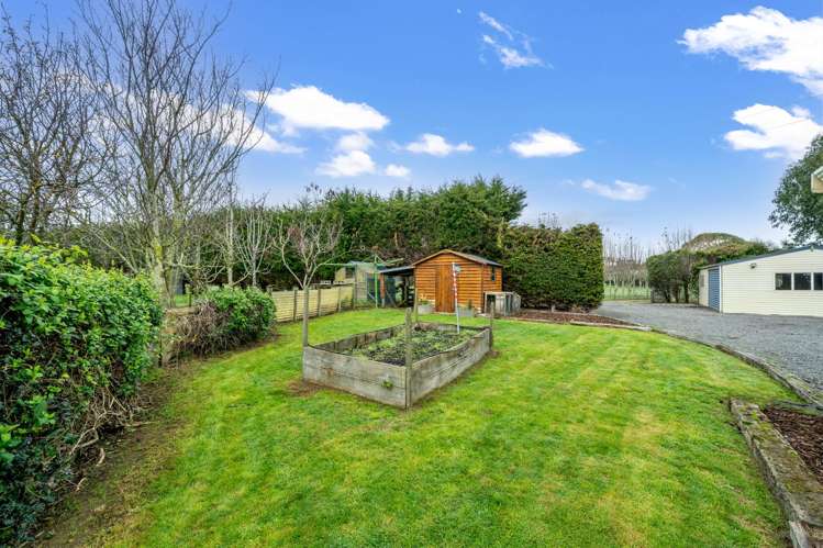 1437 Winton Lorneville Highway Ryal Bush_19